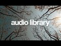 This Too Shall Pass – Scott Buckley (No Copyright Music)