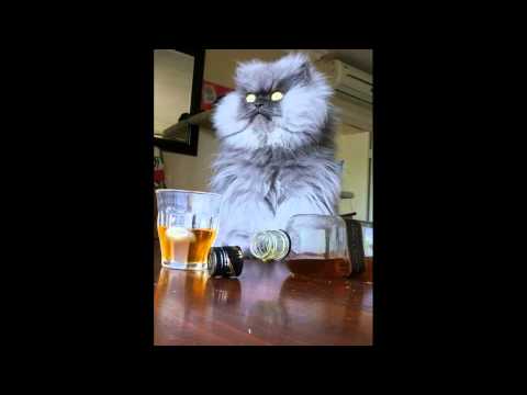 3 Da Hard Way - Low Tek (House 'O' Holic's Mix)