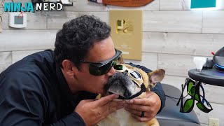 Photobiomodulation | Class IV Medical Laser Therapy | Summus Horizon