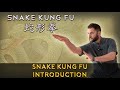 Snake Fist Kung Fu 蛇形拳 Introduction