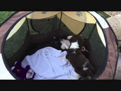 Stella and Rica reunited   August 2015