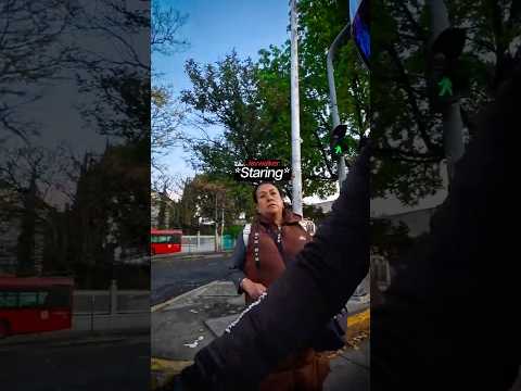 Dog Shows Jaywalker How To Use Crossing🐕