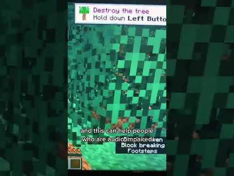 Accessibility in Minecraft (Blind, Deaf)