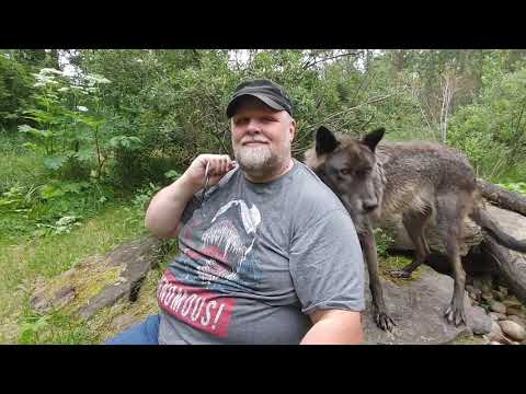 Walking with Wolves at Discovery Wildlife Park!