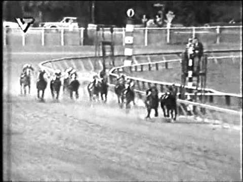 CAÑONERO II La Gran HAZAÑA..!