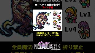 FF5 魔法剣士だけでアパンダ 低Lv FINAL FANTASY V SFC版 job unification & Low-Level Run VS Apanda