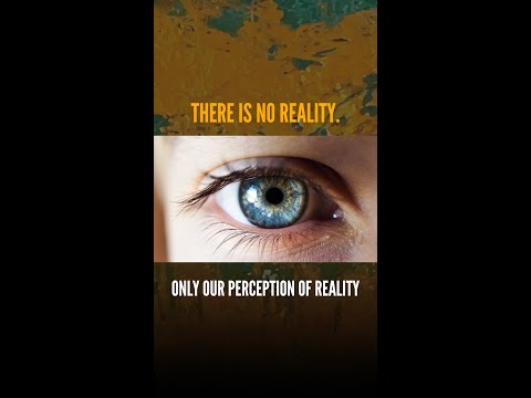 There Is No Reality. Only Our Perception Of Reality.