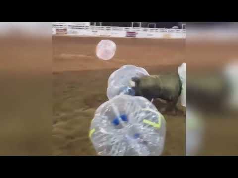 Touro Fut - A verdade será revelada..