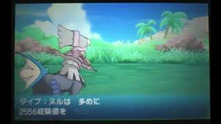 【ポケモンSM】色違いのタイプ：ヌルを進化させてみた
