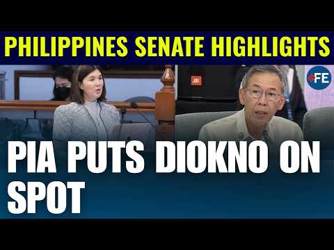 Pia Cayetano Questions Chel Diokno Over His Father's Landmark Supreme Court Case in Trial