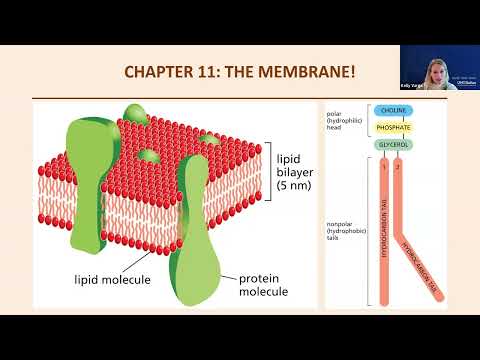 NGO Video Pitch and Slide Deck Overview Video