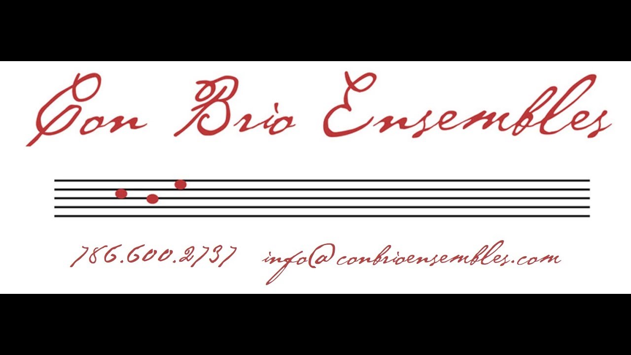 Promotional video thumbnail 1 for Con Brio Ensembles