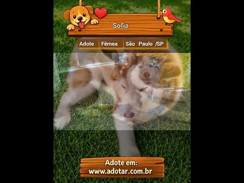 Vídeo de Sofia