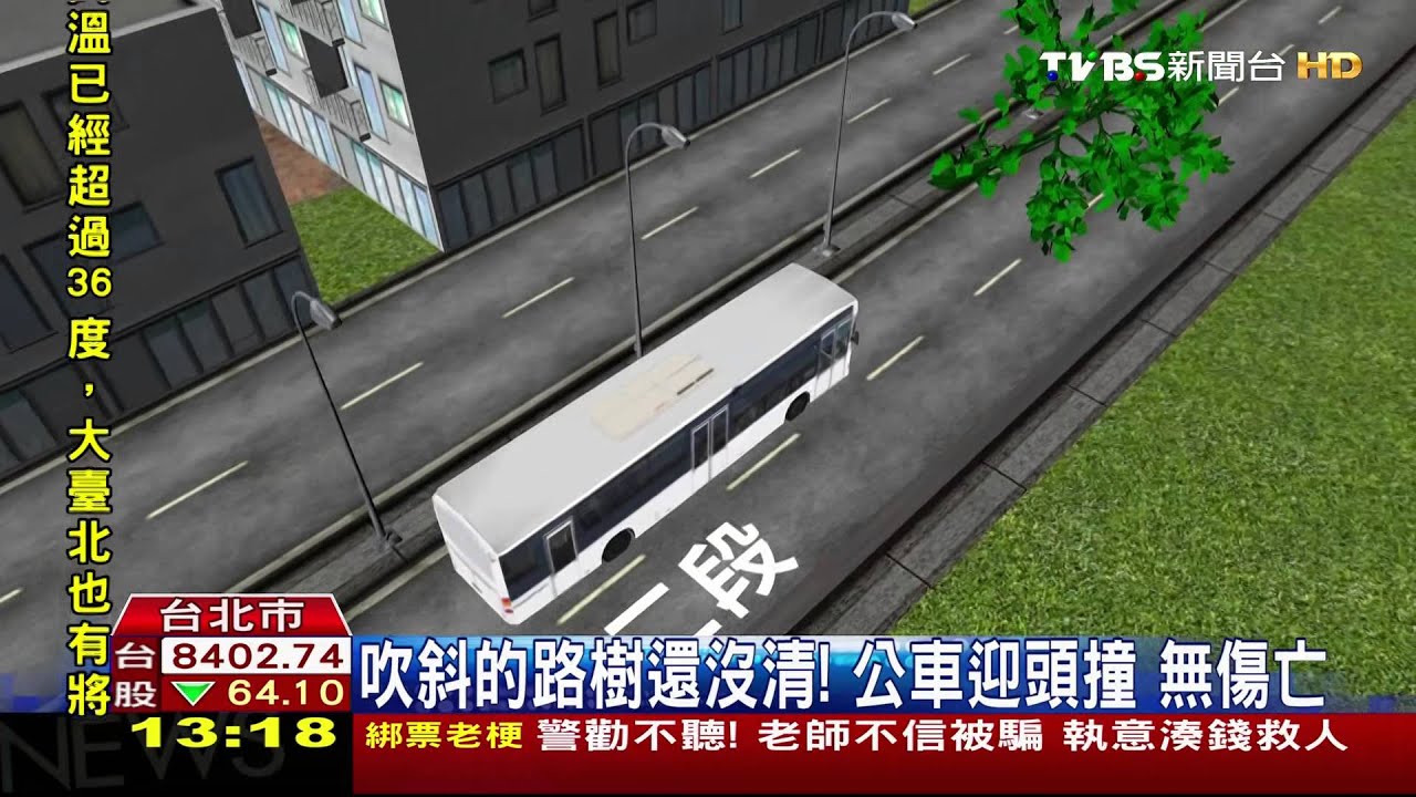 吹斜的路樹還沒清！公車迎頭撞　無傷亡