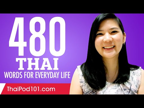 480 Thai Words for Everyday Life - Basic Vocabulary #24