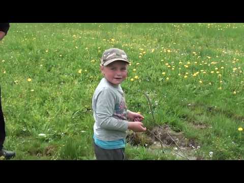 Młodzian  szuka  wody  w Maruszynie    720p