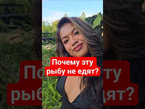 а ты бы съел?