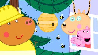 Peppa Pig Full Episodes | Madame Gazelle's House | Cartoons for Children