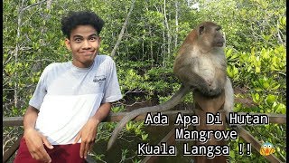 preview picture of video 'Nge-Vlog || Hutan Mangrove Kuala Langsa'