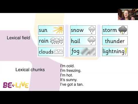 The Importance of LEXIS for Language Acquisition