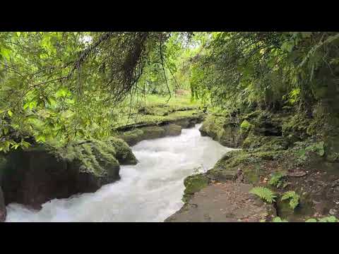 Powerful River in the Heart of the Jungle