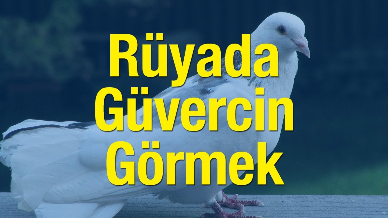 Rüyada Güvercin Görmek İyiye Mi Yorulur Rüyada Beyaz Güvercin Görmek Ne Anlama Gelir