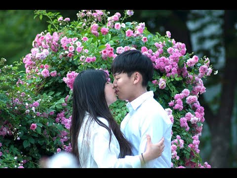 Olympic Park Seoul Cinematic Travel Video