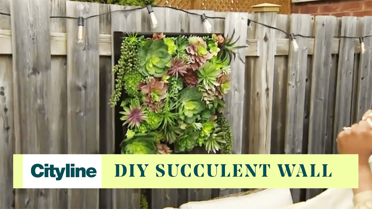 A DIY succulent wall tutorial