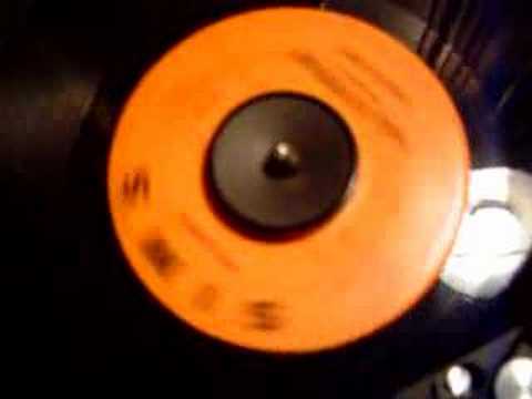 WALLY LEWIS !!! - WALL OF PRETEND !!! SIMS 45-139