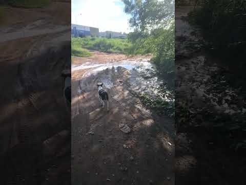 choveu muito aqui em Jussara Goiás