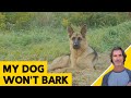 My German Shepherd Wont Bark - Robert Cabral Dog Training