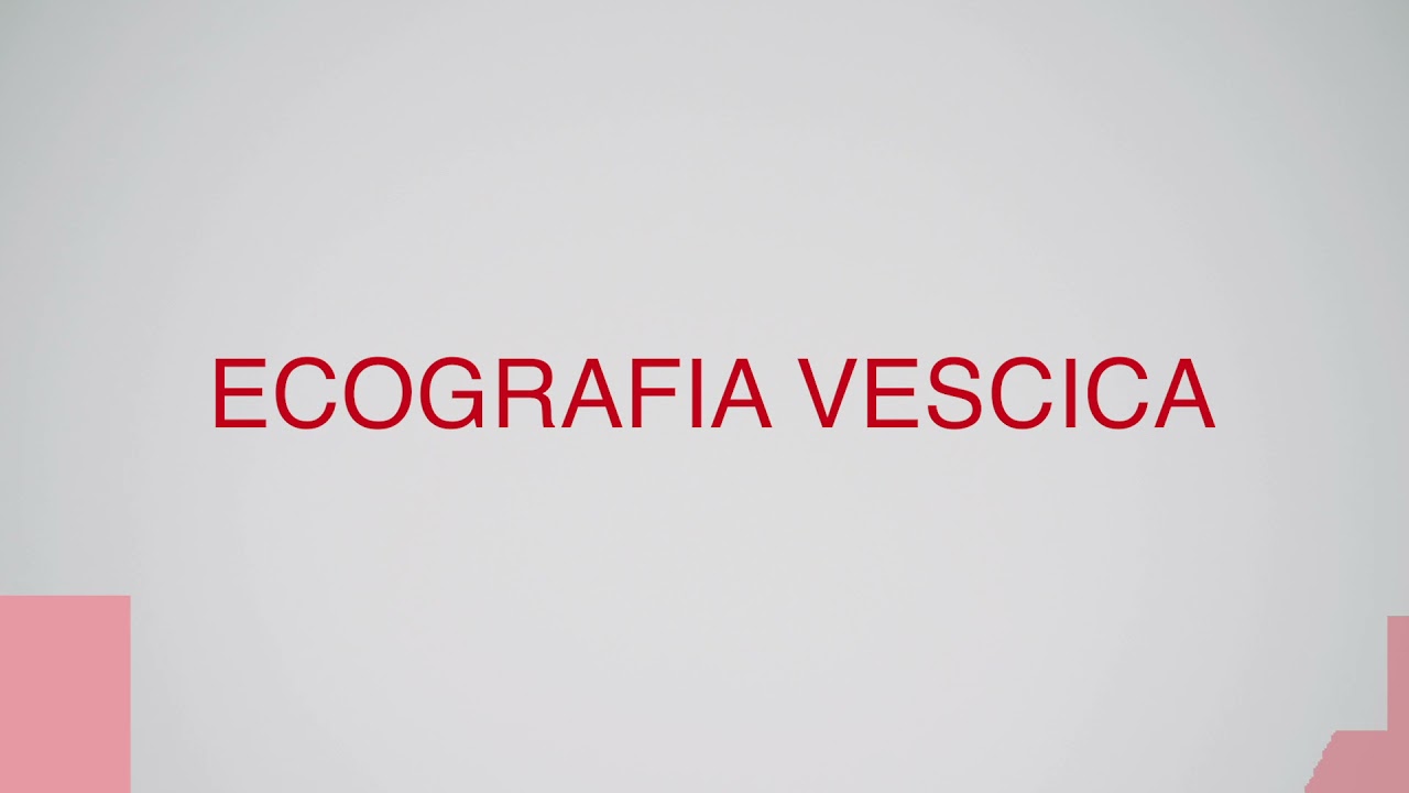 ECOGRAFIA VESCICA