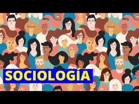 What is SOCIOLOGY and what does it study? Branches, importance and examples👩‍🏫