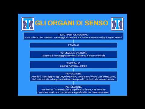 Test Medicina 2022: Biologia - Anatomia e Fisiologia degli animali e dell'uomo. Parte 2