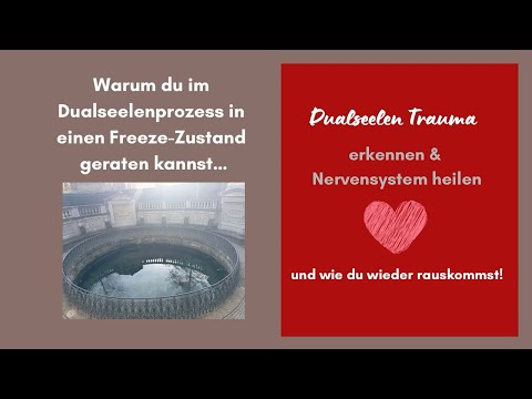 Warum du im Dualseelenprozess in einen Freeze-Zustand geraten kannst und wie du wieder rauskommst!