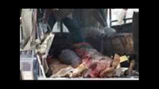 Ki Aar Paribo Dite by Sanajit Mondal