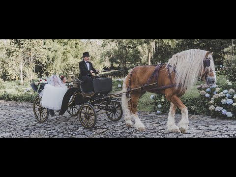 Video de boda increíble de David y Daniela | Video de boda Medellín | Boda en Fizebad | Adelanto - Videographer Santy Gu, Medellín, Colombia