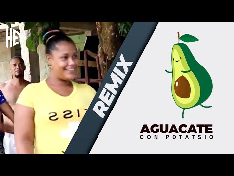 La Sicopata Tiktok Remix - El Aguacate Es Potatsio (Potasio)