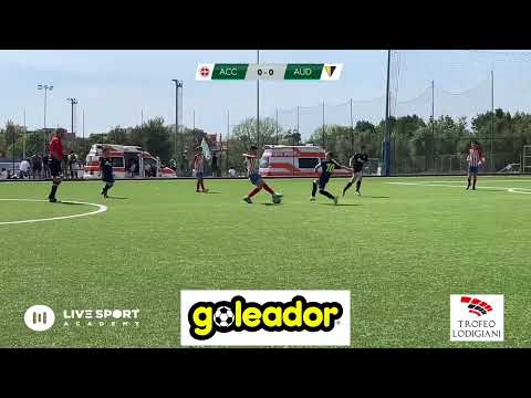 Accademia Pavese - Audace Legnaia