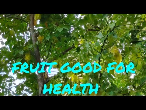 Fruit medicine for cough