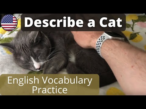 Describe a Cat - English Vocabulary Practice (American Accent)