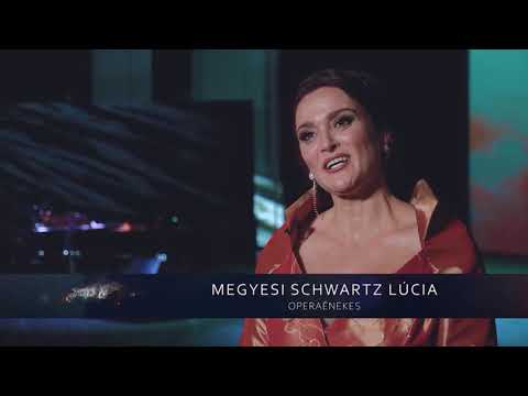 MEGYESI SCHWARTZ LÚCIA ÉS BÁTKI FAZEKAS ZOLTÁN MASZKABÁLJA