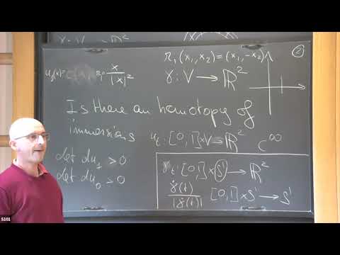 What is the h-principle? - Camillo De Lellis