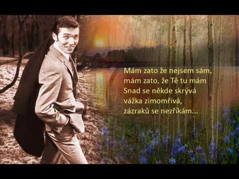 Karel Gott / Vážka zimomřivá