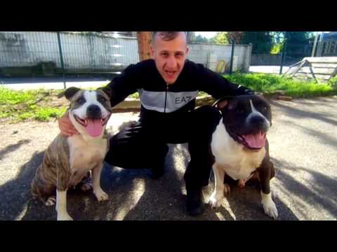 Robin Du Bitume   La Musique