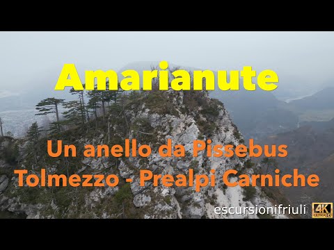 181 Monte Amarianute (4K) A short hike with splendid views of the Tagliamento valleys