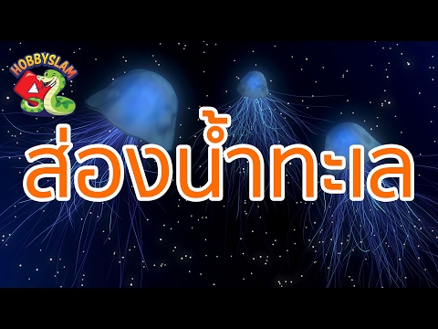 โรคสะเก็ดเงิน ketozoral มันดูเหมือนจะเป็นจุดแรกที่เป็นโรคสะเก็ดเงิน
