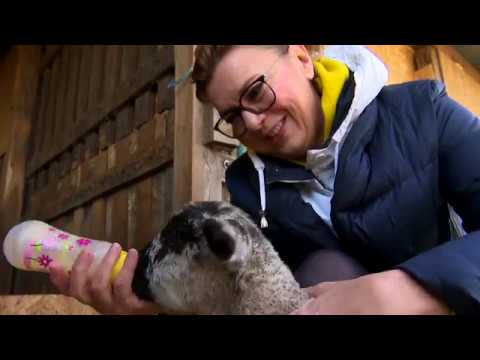 Gasztroangyal 13. rész - Vendégségben a MEZGÉ-nél (2019)