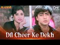 Dil Cheer Ke Dekh Tera Hi Naam Hoga Rang Divya Bharti Kumar Sanu 90 S Hindi Song Love Song