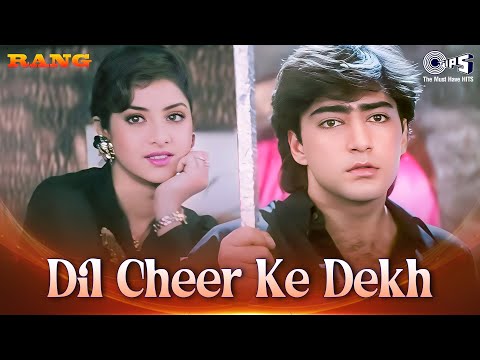 Dil Cheer Ke Dekh — watch video